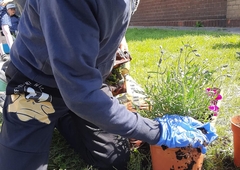 received-422414059238621-1- (1)